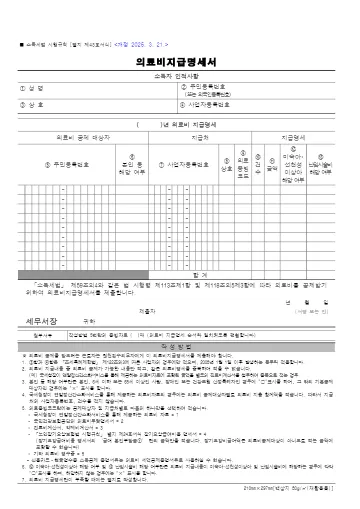 의료비지급명세서 첫 쪽 미리보기