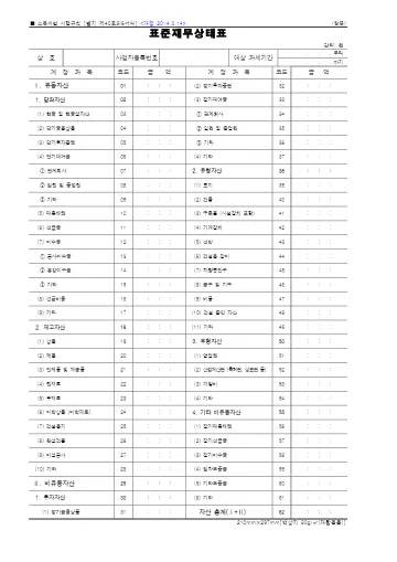 표준재무상태표(개인) 첫 쪽 미리보기